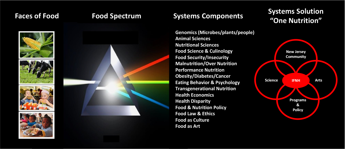 营养系统解析图